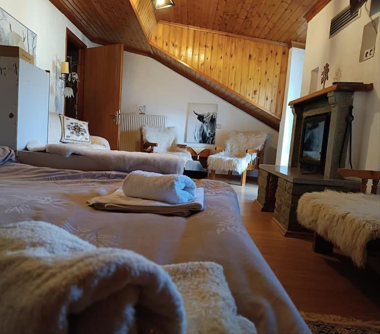 Cozy Loft With Fireplace & View Metsovo Exterior foto