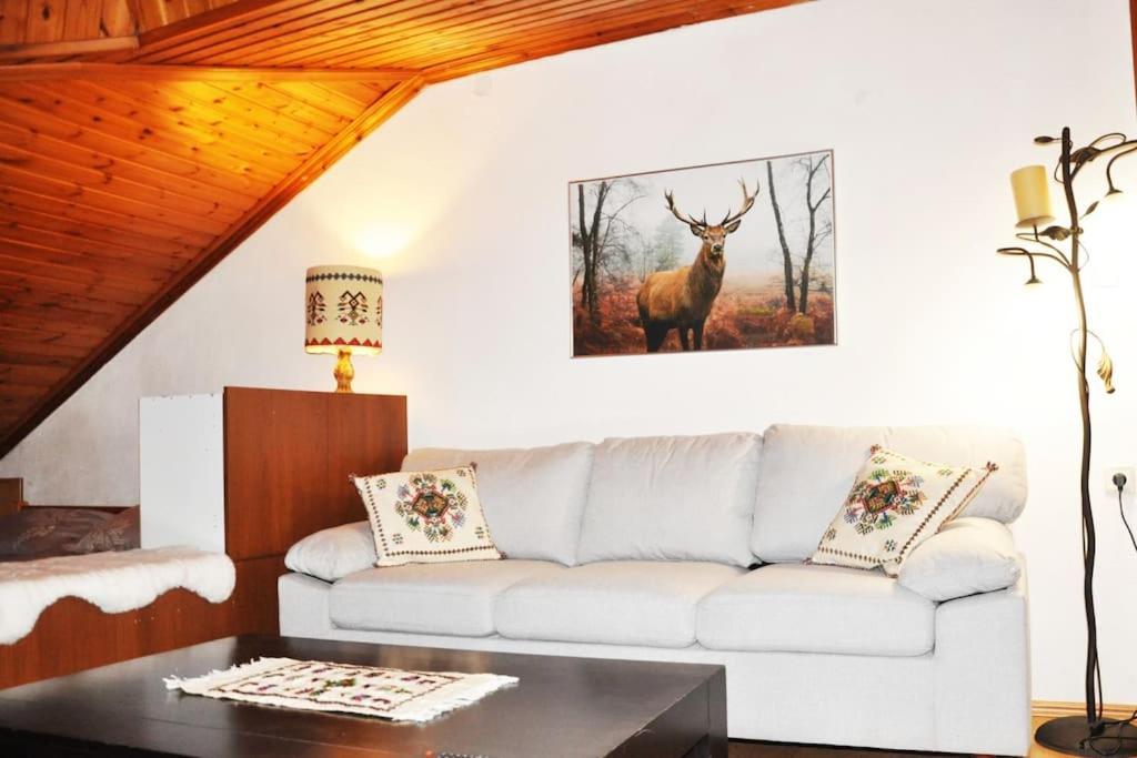 Cozy Loft With Fireplace & View Metsovo Exterior foto